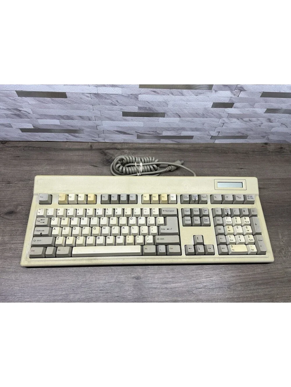 Focus Electronic Co. XT/AT FK-8000 Mechanical Keyboard COMPLETELY UNTESTED *READ